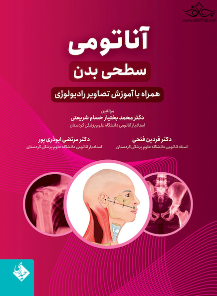 آناتومی سطحی بدن همراه با آموزش تصاویر رادیولوژی