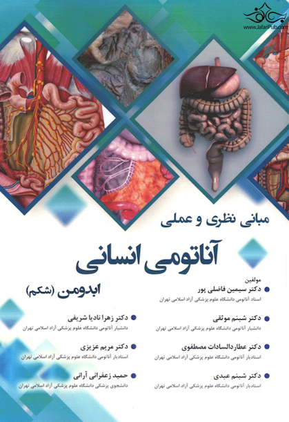 مبانی نظری و عملی آناتومی انسانی ابدومن شکم