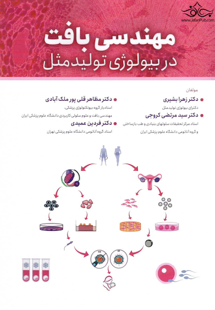 مهندسی بافت در بیولوژی تولید مثل