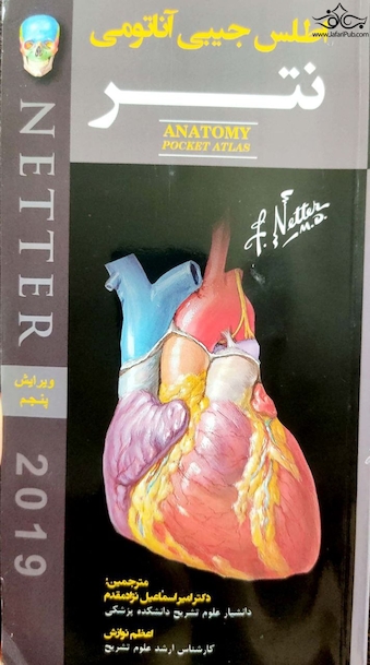 اطلس جیبی آناتومی نتر
