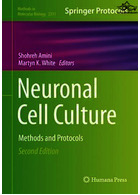 Neuronal Cell Culture: Methods and Protocols (Methods in Molecular Biology, 2311) 2nd ed | کتاب کشت سلول عصبی