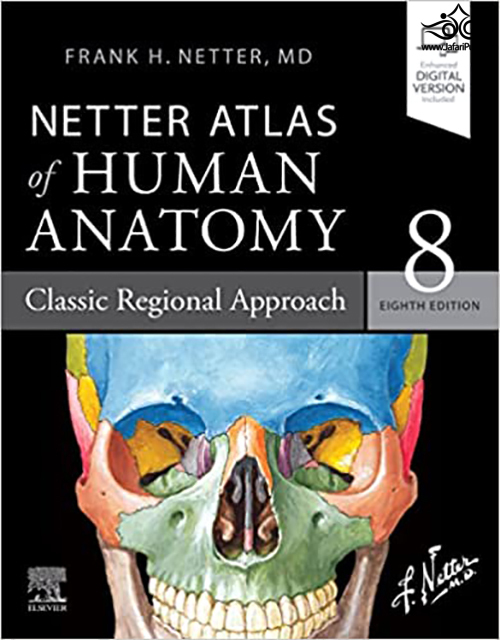 Netter Atlas of Human Anatomy: Classic Regional Approach: (Netter Basic Science) 8th Edition ابن سینا