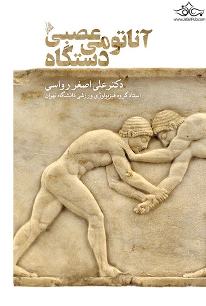 آناتومی دستگاه عصبی