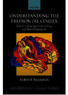 Understanding the Prefrontal Cortex : Selective advantage, connectivity, and neural operations | درک قشر جلوی مغز