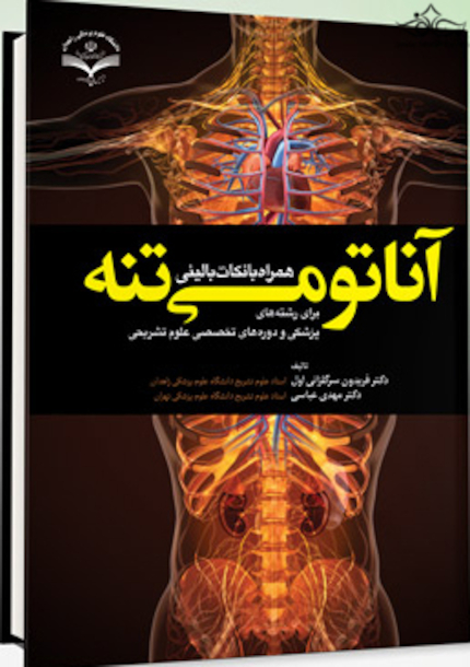 آناتومی تنه همراه با نکات بالینی