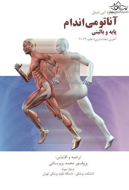 آناتومی اندام پایه و بالینی 2019