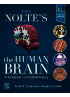 Nolte's The Human Brain: An Introduction to its Functional Anatomy | مغز انسان نولته: مقدمه ای بر آناتومی عملکردی آن