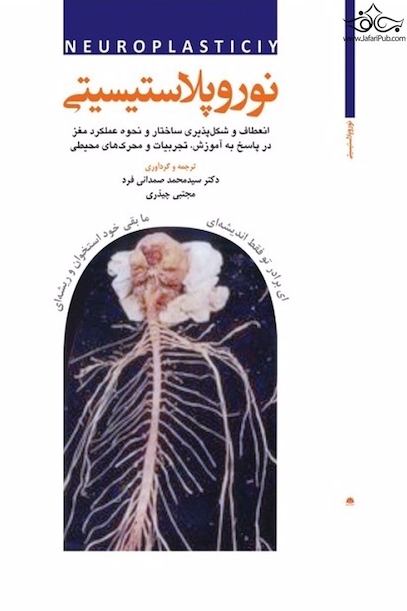 نوروپلاستیسیتی