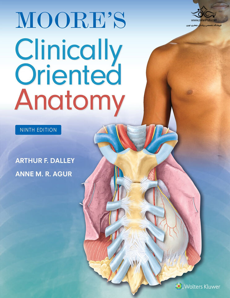 Moore's Clinically Oriented Anatomy 9th Edicion Wolters Kluwer
