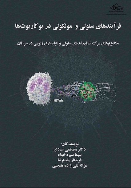 فرآیند های سلولی و مولکولی در یوکاریوت ها