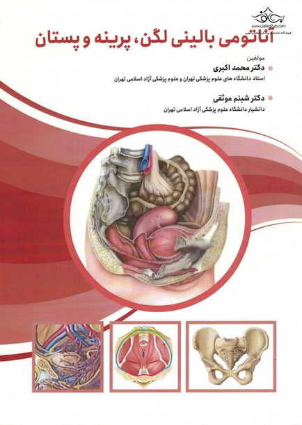 آناتومی بالینی لگن پرینه و پستان
