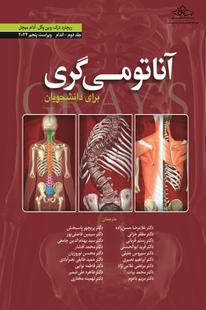 آناتومی گری برای دانشجویان اندام جلد دوم 2024