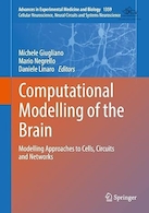 Computational Modelling of the Brain: Modelling Approaches to Cells, Circuits and Networks (Advances in Experimental Medicine and Biology, 1359) | مدل سازی محاسباتی مغز: رویکردهای مدل سازی به سلول ها، مدارها و شبکه ها (پیشرفت های پزشکی تجربی و زیست شناسی، 1359)