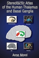Stereotactic Atlas of the Human Thalamus and Basal Ganglia | اطلس استریوتاکتیک تالاموس انسان و گانگلیون پایه