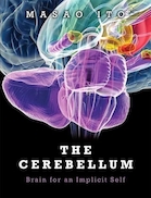 The Cerebellum: Brain for an Implicit Self 1st Edition | مخچه: مغز برای خود ضمنی نسخه اول