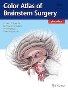 Color Atlas of Brainstem Surgery 1st Edition | اطلس رنگی جراحی ساقه مغز نسخه 1