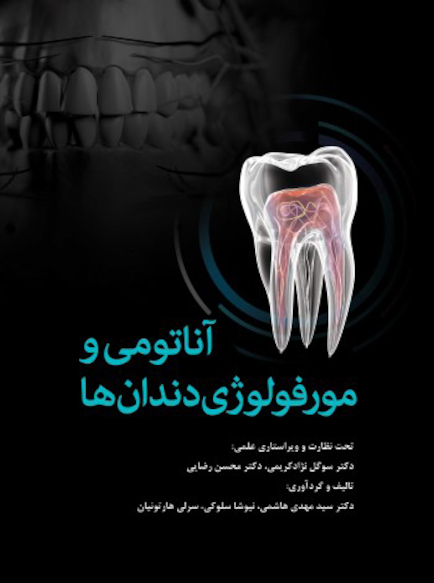 آناتومی و مورفولوژی دندان  ها