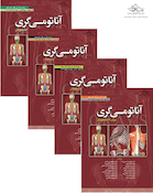 ترجمه کامل چهار جلدی آناتومی گری برای دانشجویان 2024 (حسن زاده)