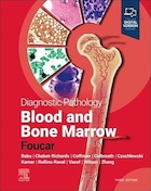 Diagnostic Pathology: Blood and Bone Marrow 3rd Edition | آسیب شناسی تشخیصی: خون و مغز استخوان ویرایش 3