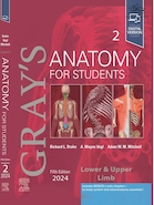 Gray's Anatomy for Students 2024 VOL 2
