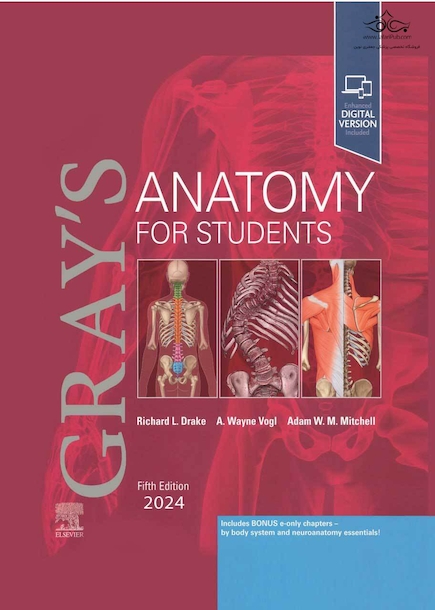 Gray’s Anatomy for Students 5th Edition 2024