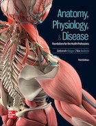Loose Leaf for Anatomy, Physiology, & Disease: Foundations for the Health Professions 3rd Edition | برگ سست برای آناتومی، فیزیولوژی و بیماری: مبانی حرفه های بهداشت ویرایش سوم
