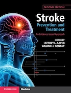 Stroke Prevention and Treatment: An Evidence-based Approach 2nd Edition | پیشگیری و درمان سکته مغزی: یک رویکرد مبتنی بر شواهد ویرایش دوم