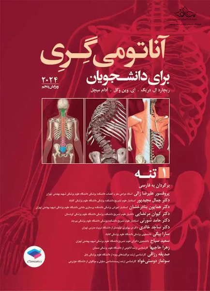 آناتومی گری برای دانشجویان جلد1 تنه 2024
