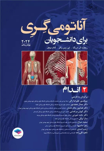 آناتومی گری برای دانشجویان جلد 2 اندام 2024