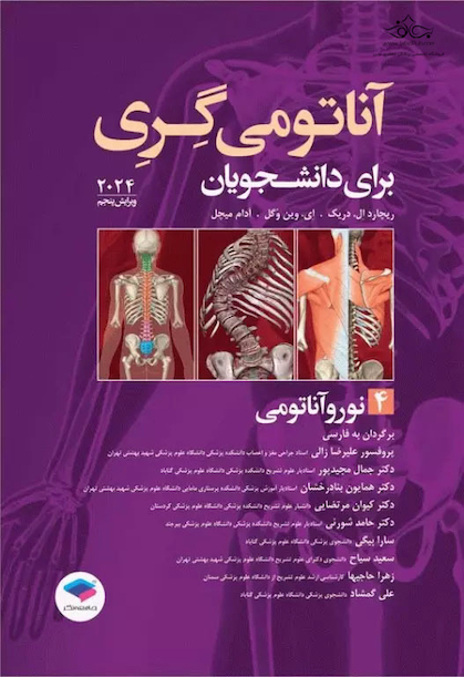 آناتومی گری برای دانشجویان جلد 4 نوروآناتومی 2024