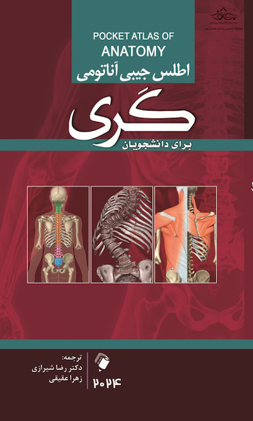 اطلس جیبی آناتومی گری 2024 برای دانشجویان