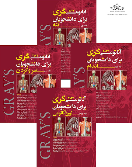 ترجمه کامل چهار جلدی آناتومی گری برای دانشجویان 2024 (مهدی زاده)
