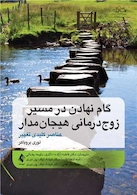 گام نهادن در مسیر زوج درمانی هیجان مدار