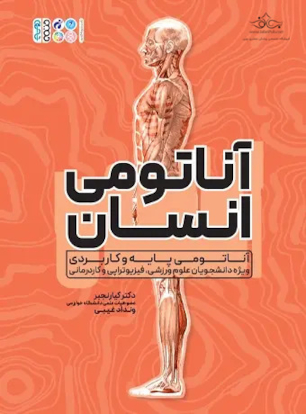 آناتومی انسان