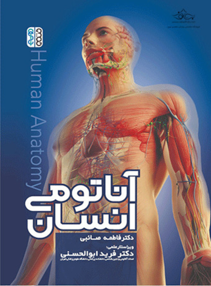 آناتومی انسان