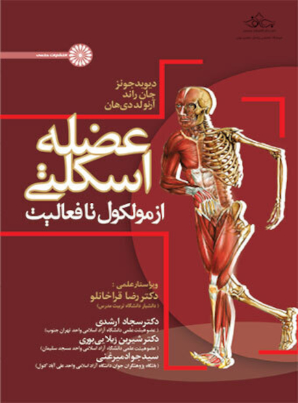 عضله اسکلتی از مولکول تا فعالیت