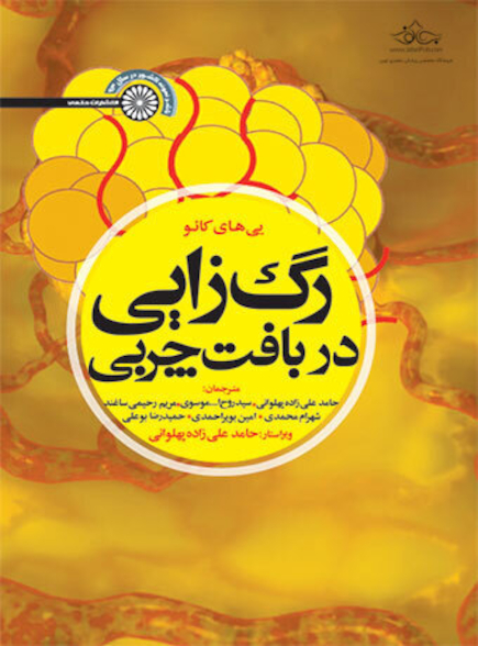 رگ زایی در بافت چربی