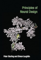 Principles of Neural Design (Mit Press) | اصول طراحی عصبی (Mit Press)