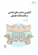 آناتومی دندان های قدامی و علم لبخند طبیعی