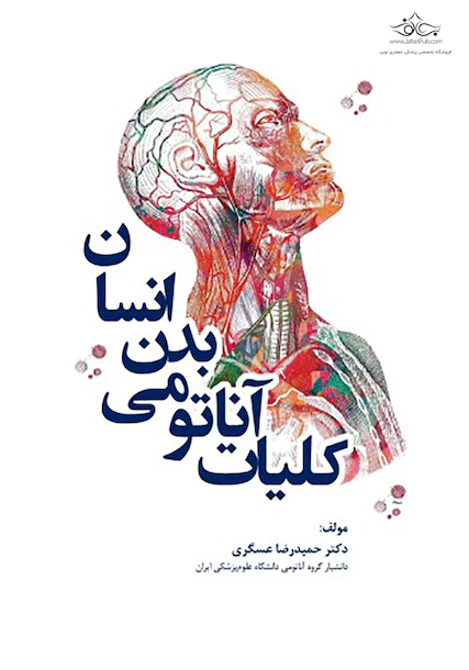 کلیات آناتومی بدن انسان