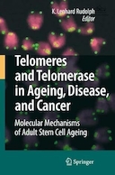 Telomeres and Telomerase in Aging, Disease, and Cancer: Molecular Mechanisms of Adult Stem Cell Ageing | تلومرها و تلومراز در پیری، بیماری و سرطان: مکانیسم های مولکولی پیری سلول های بنیادی بزرگسالان