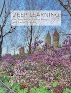 Deep Learning (Adaptive Computation and Machine Learning series) | یادگیری عمیق (مجموعه محاسبات تطبیقی ​​و یادگیری ماشین)