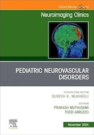 Pediatric Neurovascular Disorders, An Issue of Neuroimaging Clinics of North America (Volume 34-4) | اختلالات عصبی و عروقی کودکان، شماره کلینیک های تصویربرداری عصبی آمریکای شمالی (جلد 34-4)