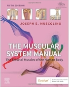 The Muscular System Manual: The Skeletal Muscles of the Human Body 5th Edition | کتابچه راهنمای سیستم عضلانی: ماهیچه های اسکلتی بدن انسان ویرایش پنجم