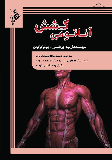 آناتومی کشش