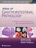Atlas of Gastrointestinal Pathology: A Pattern Based Approach to Non-Neoplastic Biopsies First Edition | اطلس آسیب شناسی گوارشی: رویکردی مبتنی بر الگو به بیوپسی های غیرنئوپلاستیک چاپ اول