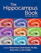 The Hippocampus Book 2nd Edition | کتاب هیپوکامپ ویرایش دوم