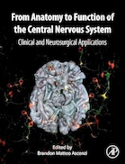 From Anatomy to Function of the Central Nervous System: Clinical and Neurosurgical Applications 1st Edition | از آناتومی تا عملکرد سیستم عصبی مرکزی: کاربردهای بالینی و جراحی مغز و اعصاب نسخه 1