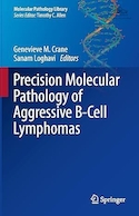 Precision Molecular Pathology of Aggressive B-Cell Lymphomas (Molecular Pathology Library) 2023rd Edition | آسیب شناسی مولکولی دقیق لنفوم های تهاجمی سلول B (کتابخانه آسیب شناسی مولکولی) نسخه 2023