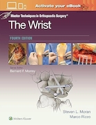 Master Techniques in Orthopaedic Surgery | تکنیک های کارشناسی ارشد در جراحی ارتوپدی